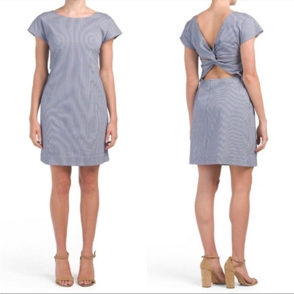 Theory Andrizza Blue  Seersucker Dress